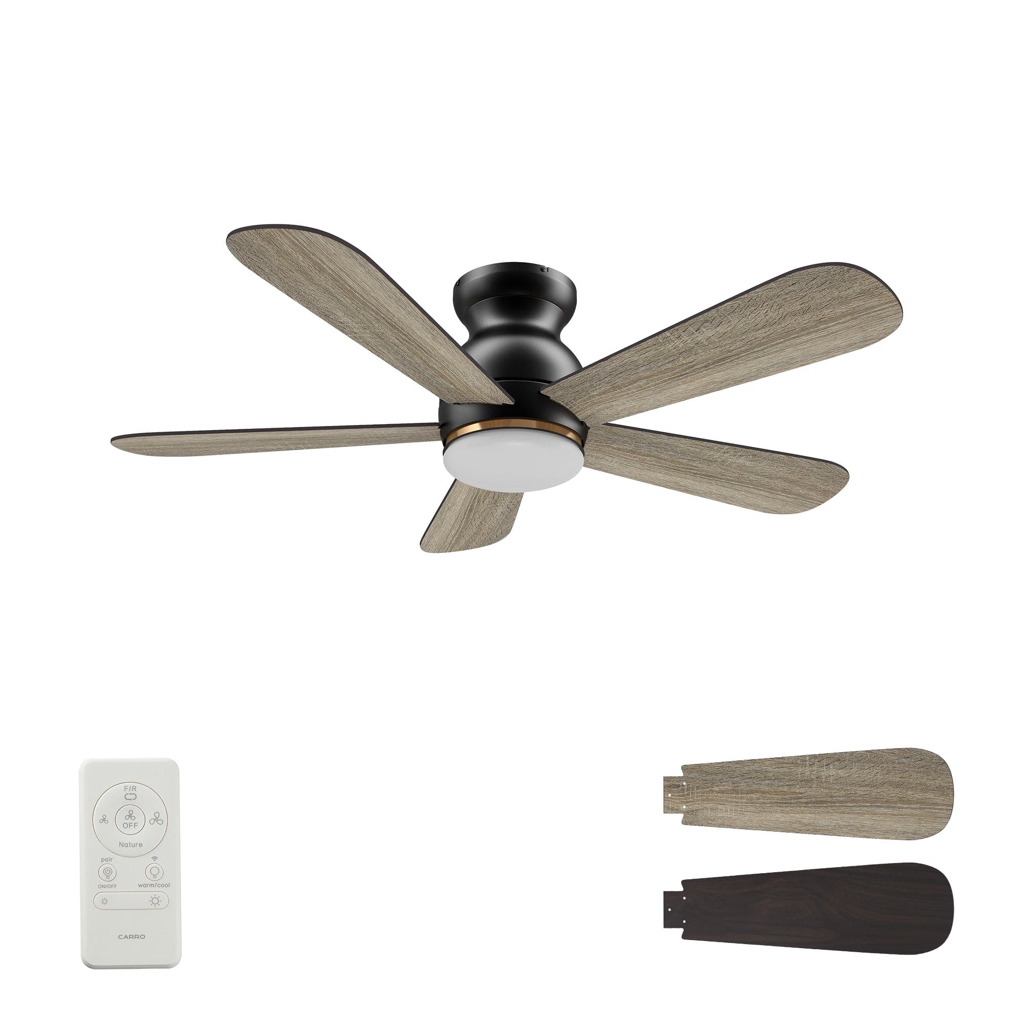 Carro Dubois 48 inch 5-Blade Flush Mount Smart Ceiling Fan
