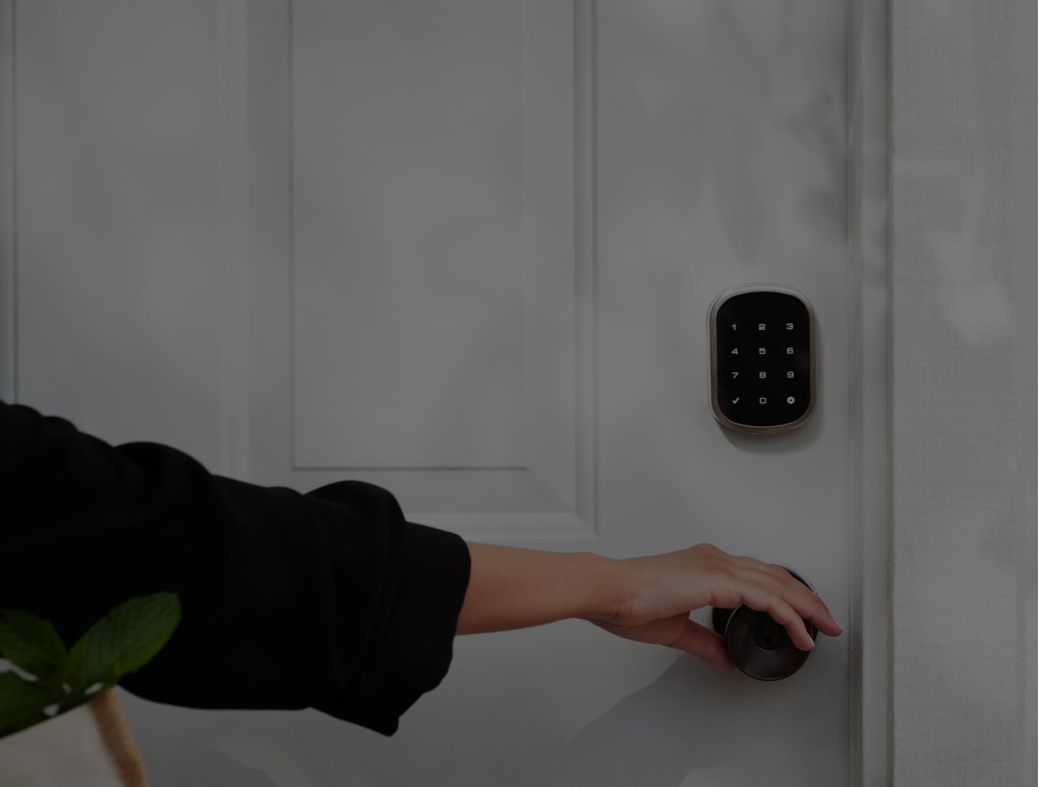 eero 6 (Wi-Fi 6)