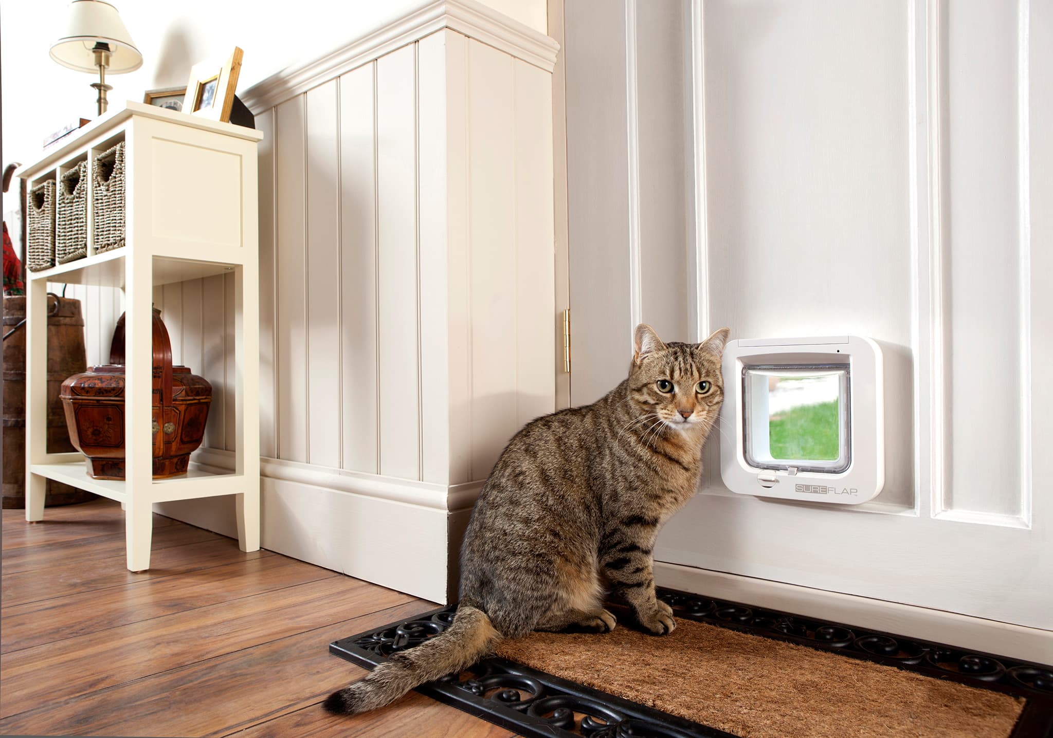 Sure Petcare Microchip Pet Door Connect
