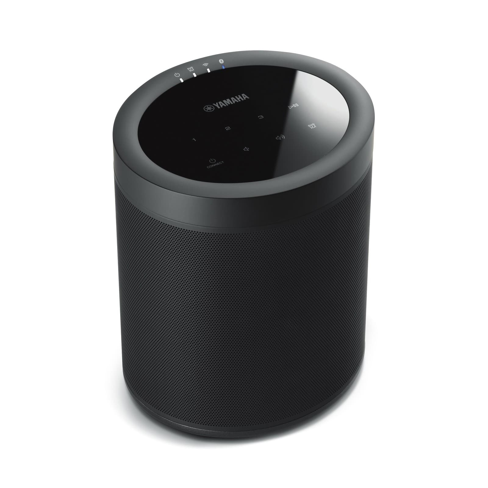 Yamaha MusicCast 20 (WX-021)