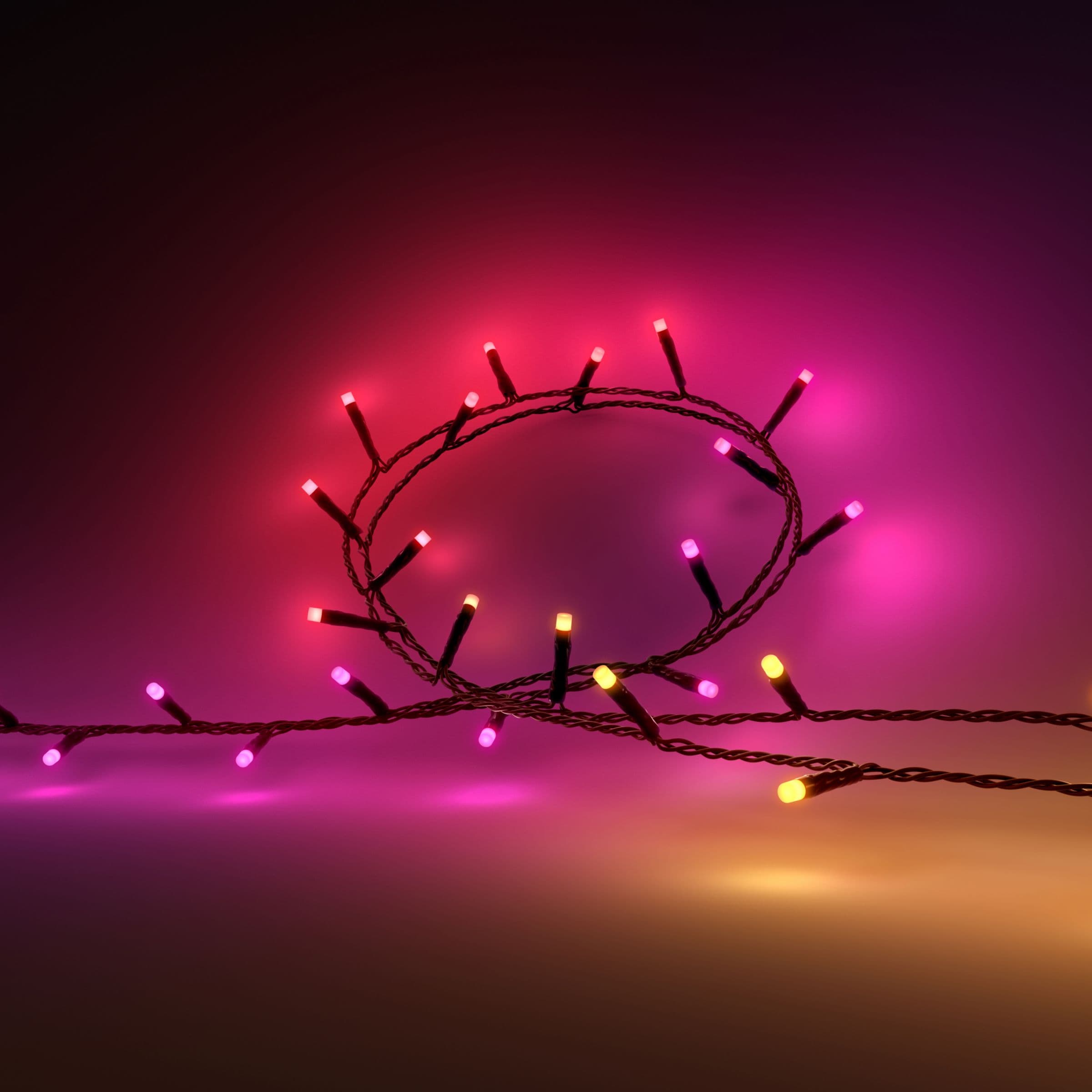 Hue Festavia String Lights