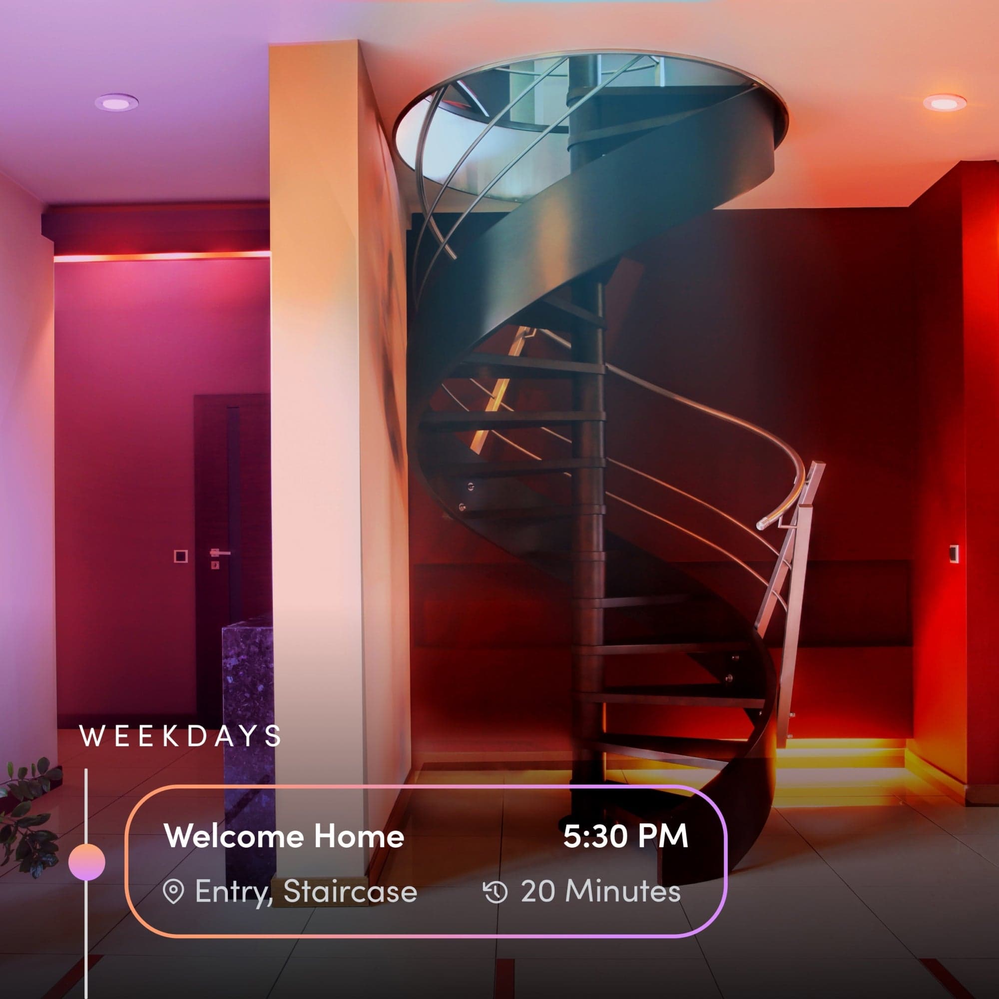 LIFX Switch Starter Kit